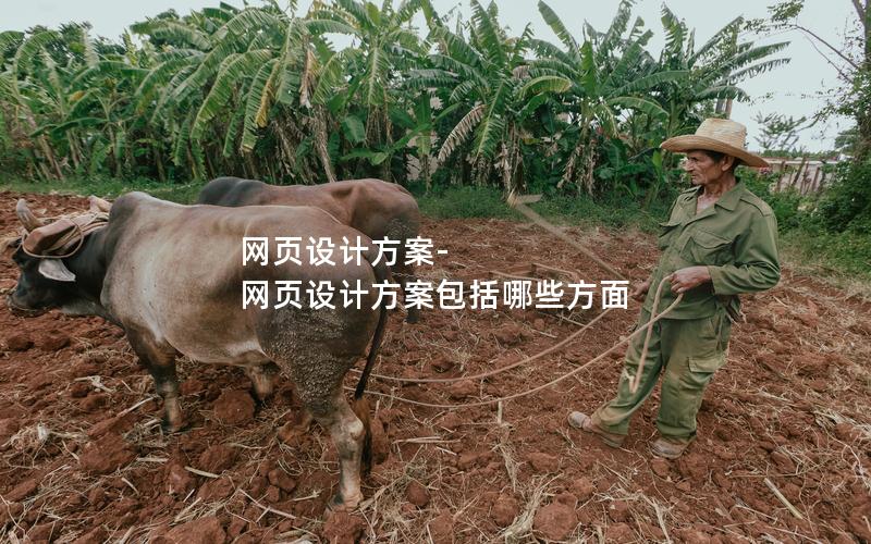 网页设计方案-网页设计方案包括哪些方面