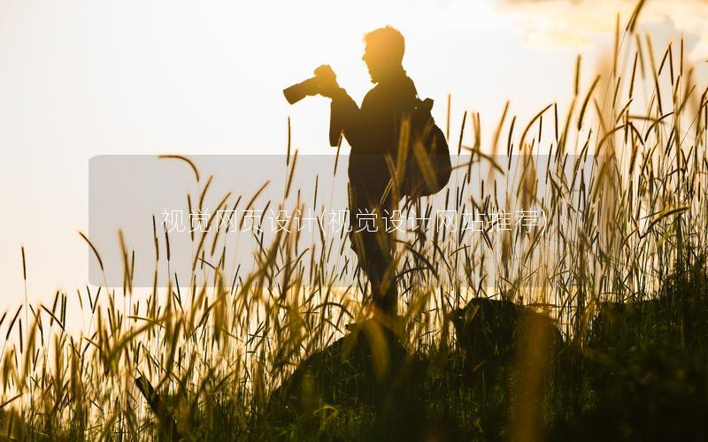 视觉网页设计(视觉设计网站推荐)
