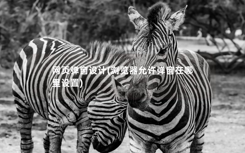 网页弹窗设计(浏览器允许弹窗在哪里设置)