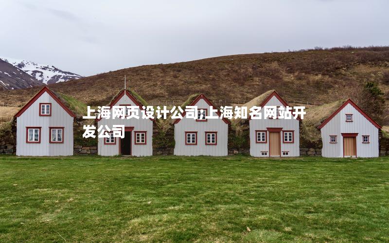 上海网页设计公司;上海知名网站开发公司