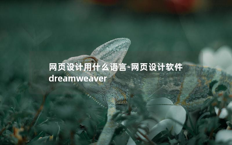 网页设计用什么语言-网页设计软件dreamweaver