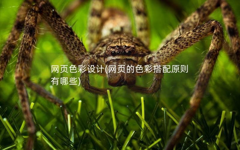网页色彩设计(网页的色彩搭配原则有哪些)