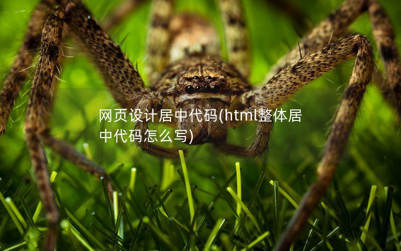 网页设计居中代码(html整体居中代码怎么写)