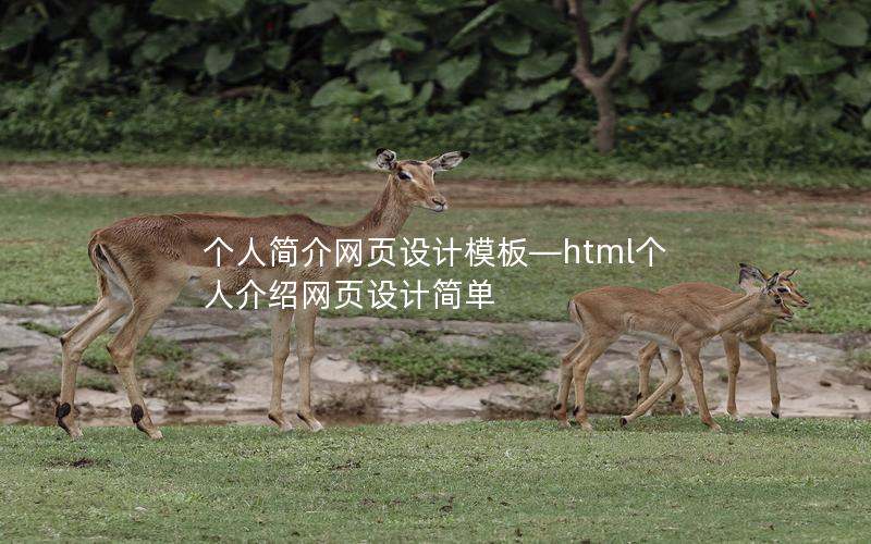 个人简介网页设计模板—html个人介绍网页设计简单